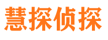 大东市侦探公司